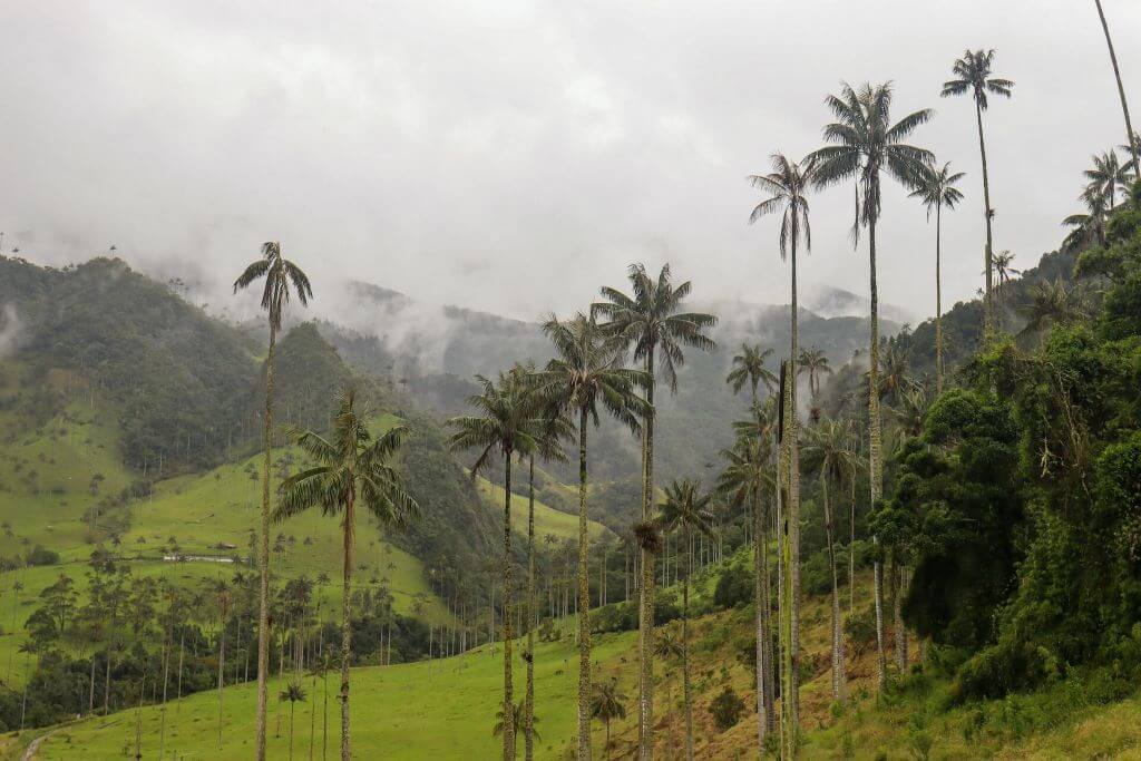 <span> Día 2 </span> Naturaleza y Pueblos Mágicos